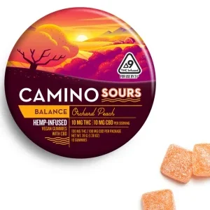 Camino Orchard Peach 10:10 CBD Sleep Gummies