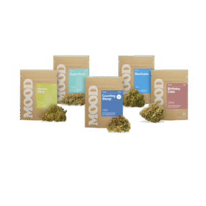 Best Buds Bundle
